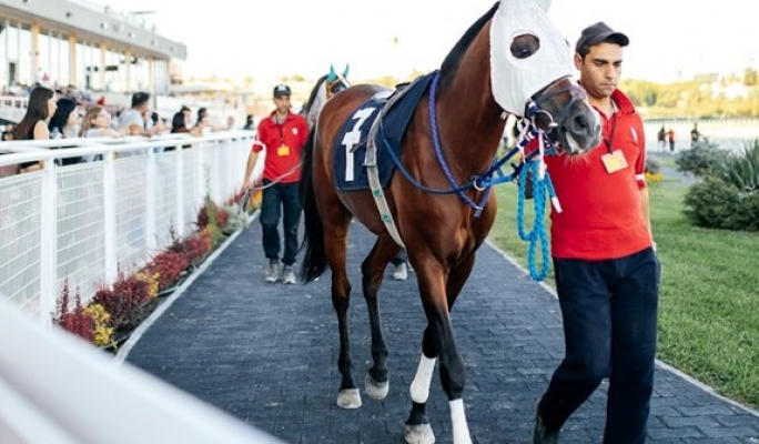 Why bookmakers rarely lose: The role of overround in horse racing market