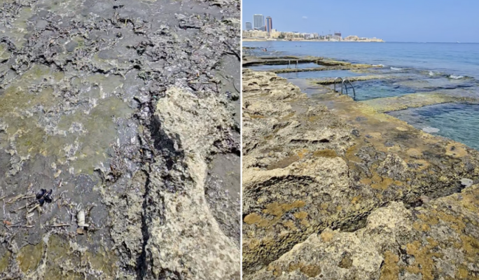 Protest calls for action on sea slime in St Paul’s Bay