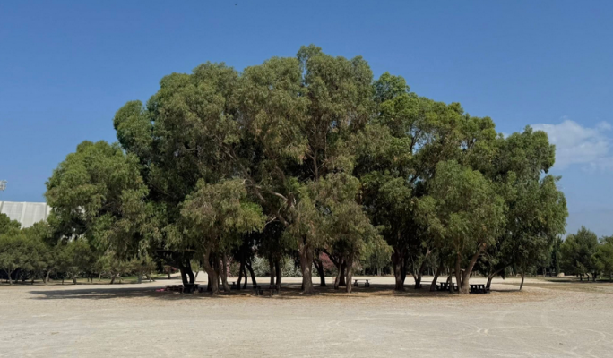 PN says public will pay more after Ta’ Qali gravel project fails, slams attacks on journalists