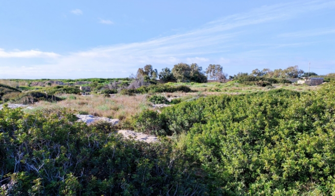 NGOs slam government plans to allow model airstrip in Wied Żnuber
