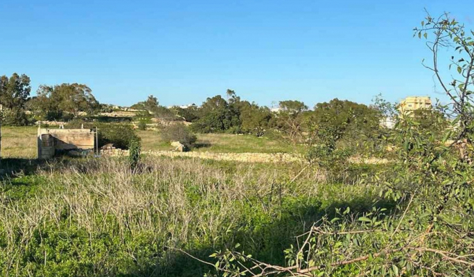 San Ġwann supermarket plans scrapped after outcry - Vimarsana News
